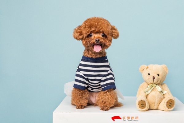疫情期间香港商品如何转运到湖北随州呢？